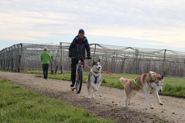 training 18-03 2018-04-02-10h22m07